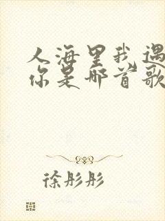 人海里我遇见了你是哪首歌的歌词