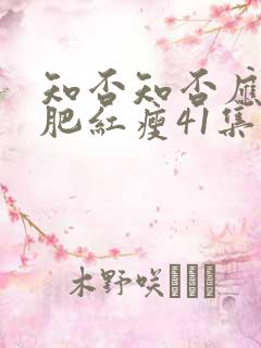 知否知否应是绿肥红瘦41集