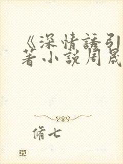 《深情诱引》原著小说周晟安结局