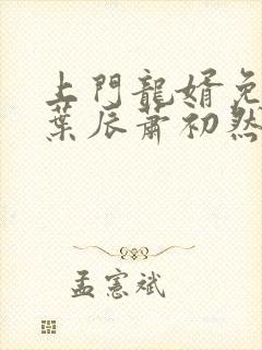 上门龙婿免全文叶辰萧初然最新章节