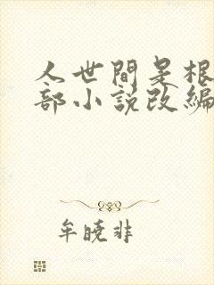 人世间是根据哪部小说改编的