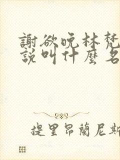 谢欲晚林梵音小说叫什么名字