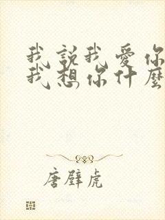 我说我爱你我说我想你什么歌