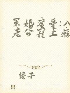 军婚蜜爱:八零老公宠上瘾 小说完整