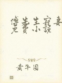 傅先生宠妻无度免费小说