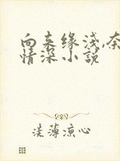 向来缘浅,奈何情深小说