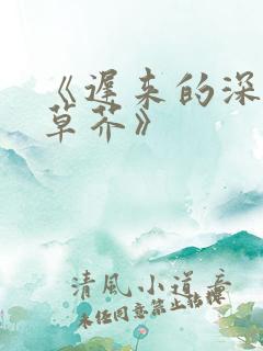 《迟来的深情如草芥》