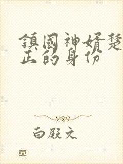 镇国神婿楚尘真正的身份