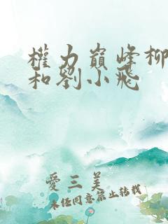 权力巅峰柳擎宇和刘小飞