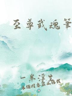 至尊武魂笔趣阁