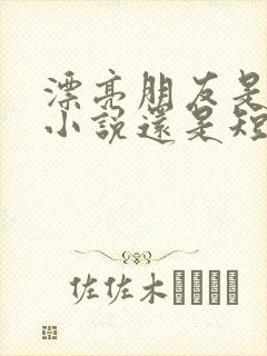 漂亮朋友是长篇小说还是短篇小说