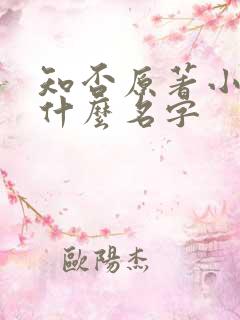 知否原著小说叫什么名字