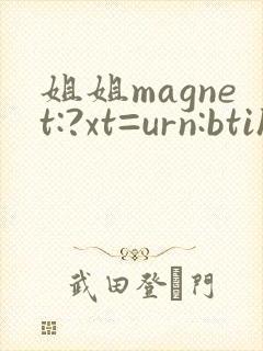 姐姐magnet:?xt=urn:btih