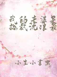 我的老婆是冰山总裁沈浪最新章节