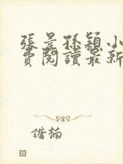 张晨孙颖小说免费阅读最新章节