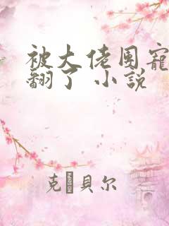 被大佬团宠后野翻了 小说