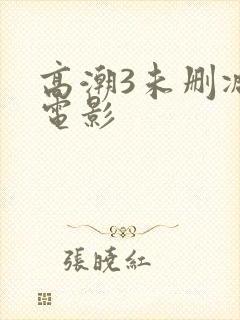 高潮3未删减版电影