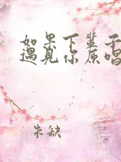 如果下辈子还能遇见你原唱完整版