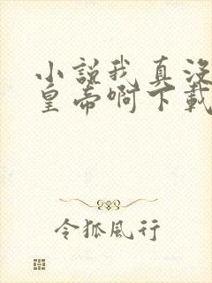 小说我真没想当皇帝啊下载