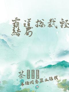 霸道总裁轻点爱结局