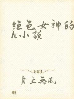 绝色女神的堕落h小说