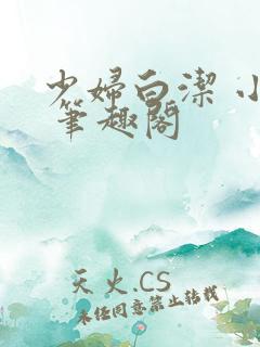 少妇白洁 小说 笔趣阁