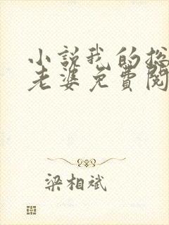 小说我的总裁大老婆免费阅读