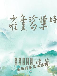 少年珍惜时光的唯美句子