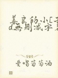 善良的小[子hd无删减字幕韩国