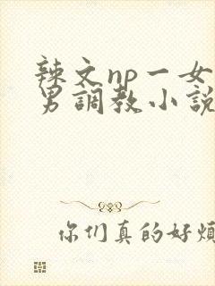 辣文np一女多男调教小说