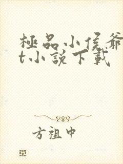 极品小侯爷txt小说下载