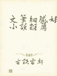 文笔细腻好看的小说推荐