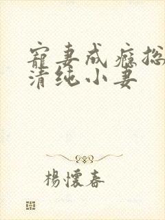 宠妻成瘾总裁的清纯小妻