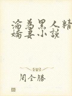 沦为黑人精厕的娇妻小说
