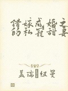 错嫁成婚之总裁的私宠甜妻