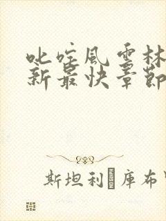 叱咤风云林云最新最快章节