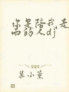 你是陪我走过风雨的人dj