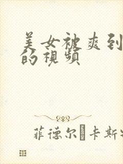 美女被爽到呻吟的视频