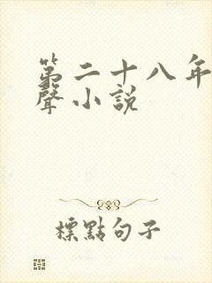 第二十八年春有声小说
