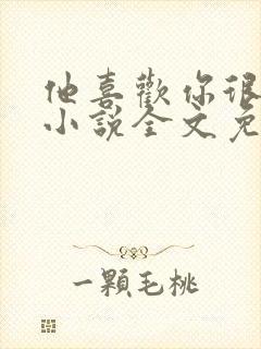 他喜欢你很久了小说全文免费阅读