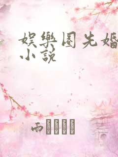 娱乐圈先婚后爱小说