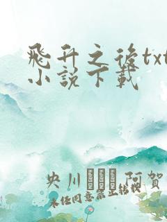 飞升之后txt小说下载