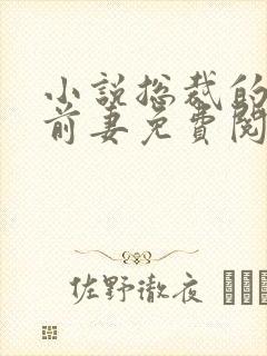 小说总裁的替身前妻免费阅读