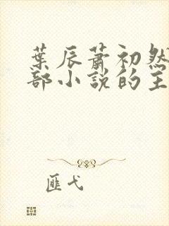 叶辰萧初然是哪部小说的主角