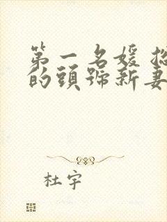 第一名媛 总裁的头号新妻