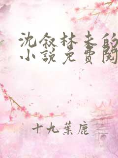 沈叙林未的最新小说免费阅读