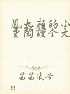 凤九颜的小说免费阅读全文无弹窗