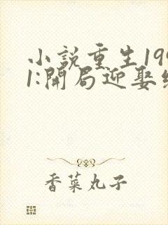 小说重生1991:开局迎娶绝美班长