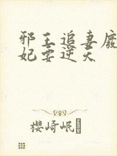 邪王追妻废材狂妃要逆天