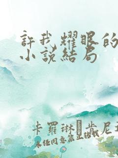 许我耀眼的原著小说结局